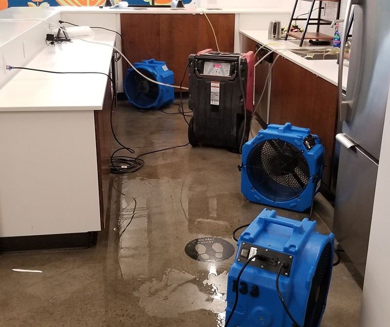 water damage mitigation